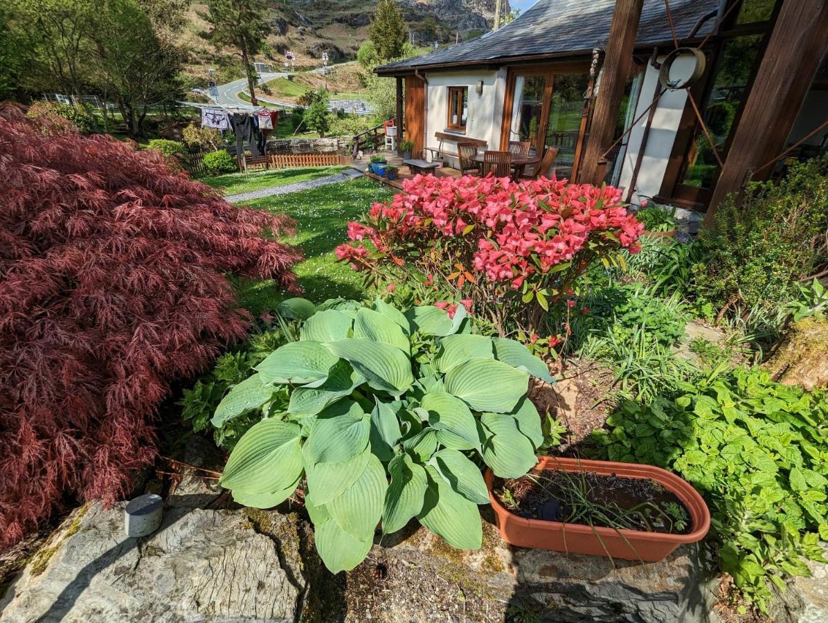 Penzion Bryn Elltyd Eco House Blaenau Ffestiniog Exteriér fotografie