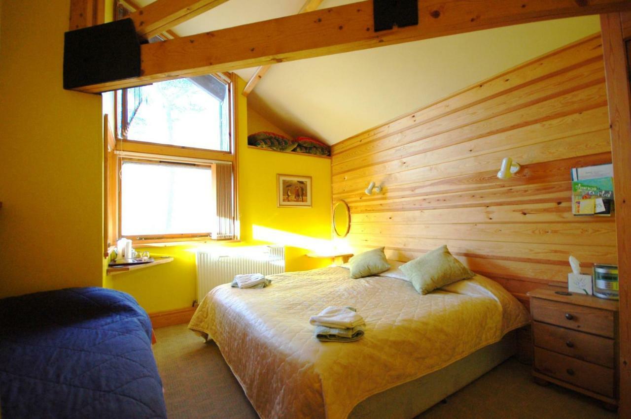 Penzion Bryn Elltyd Eco House Blaenau Ffestiniog Exteriér fotografie